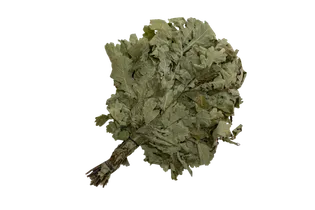 Saunabesen aus Eichenholz